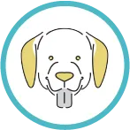 犬