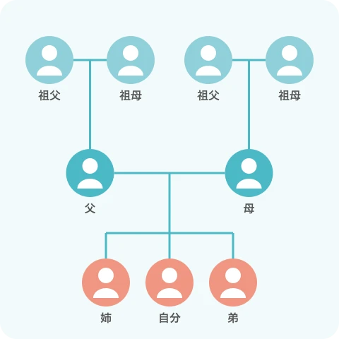 家系図
